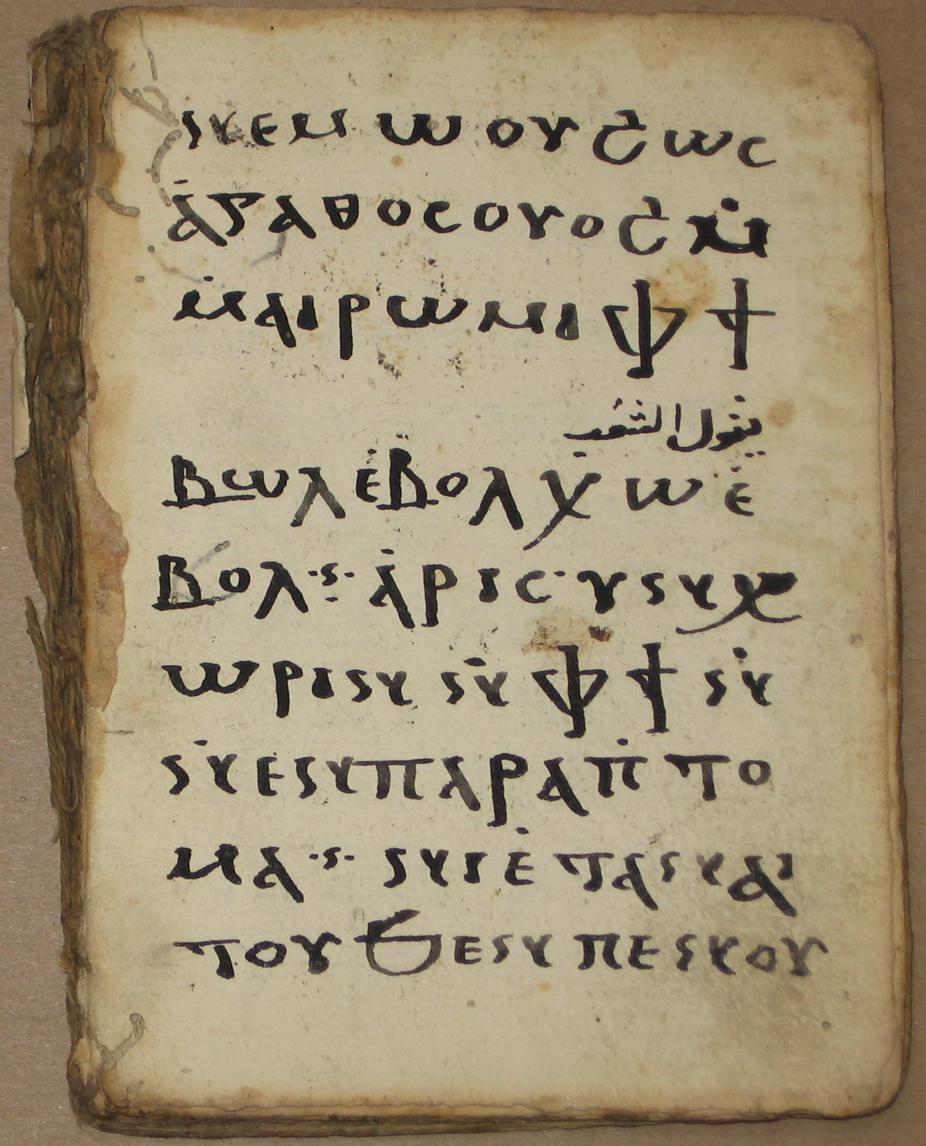 ML MS 22